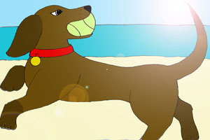 Beach Christmas, Canine Edition