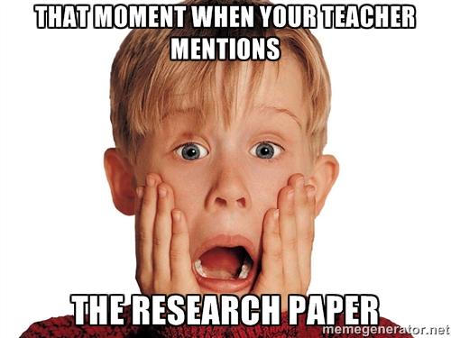 Image result for research paper meme