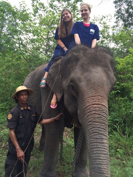 Julia DiFabrizio loved riding the elephants of Thailand while there. 