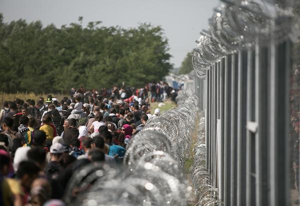 Hundreds of the refugees and migrants along a new fence built by Hungarian authorities.