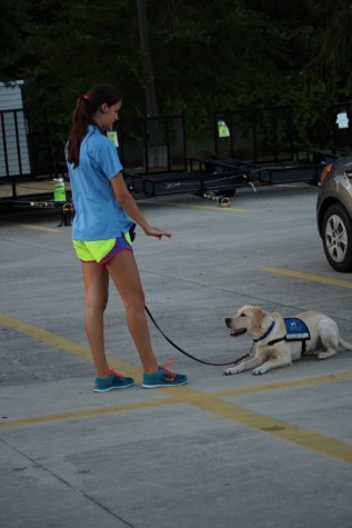 Southeastern Guide Dog's mission is to create and nurture a partnership between a visually impaired individual and a guide dog, facilitating life’s journey with mobility, independence and dignity. However before this can happen, the dog must go through serious training.