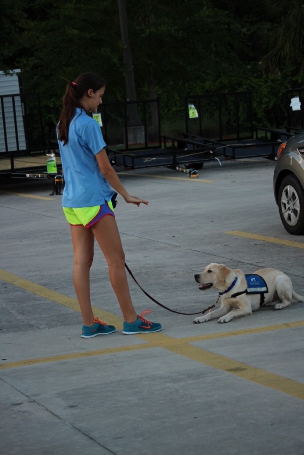 Southeastern Guide Dogs mission is to create and nurture a partnership between a visually impaired individual and a guide dog, facilitating life’s journey with mobility, independence and dignity. However before this can happen, the dog must go through serious training.