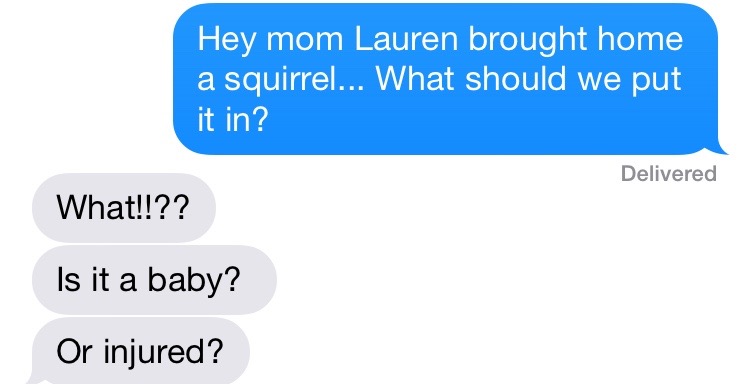 Credit: Lindsey Calka 
Pet Squirrel? 