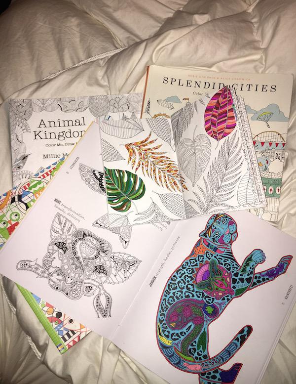 Credit: Rachel McKenna/Achona Online
Coloring multiple pages at once might be more than focusing on one page for a week and getting bored of it.