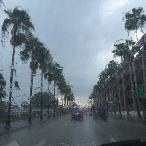 On Friday, Tampa had 30 mph winds but not much rain.