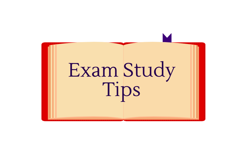 Credit: Sophia Mastro/ Achona Online. Learning Specialist, Danica Rodriguez says, "In order to avoid unnecessary stress and anxiety over your exams, it is a great time to start organizing yourself and creating a study plan." 