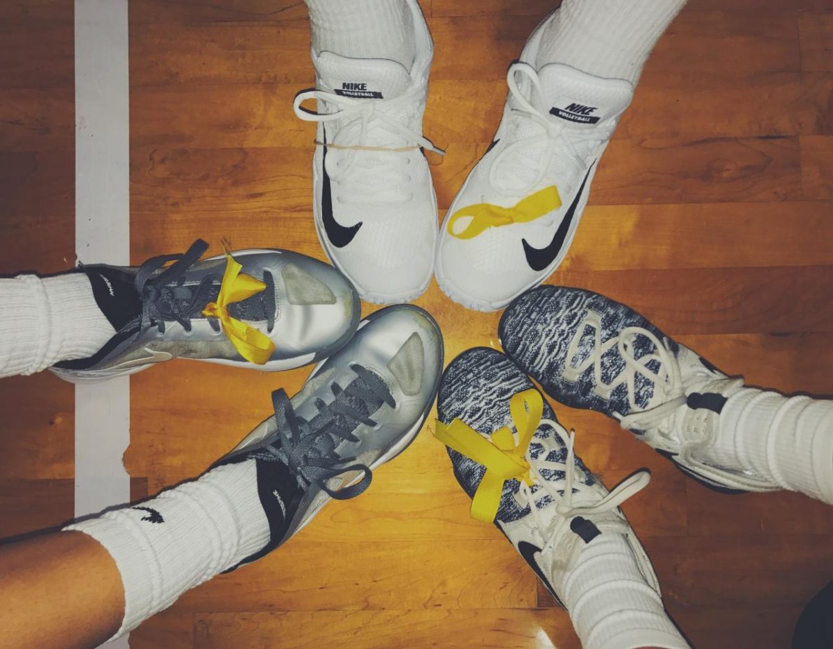 All+players+wore+yellow+ribbons+on+their+shoes+or+in+their+hair+in+order+to+show+their+support+for+childhood+cancer+and+Cannella.+