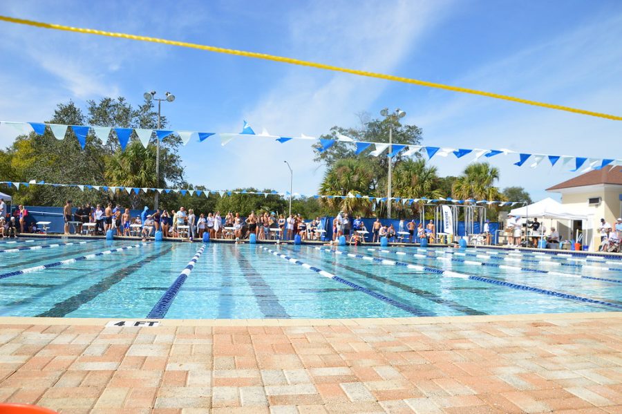 The Academy of the Holy Names' swim team will be trying for their second consecutive runner-up title at States.