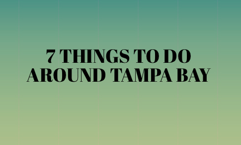 Tampa Bay is a large natural harbor and estuary connected to the Gulf of Mexico on the west central coast of Florida. 