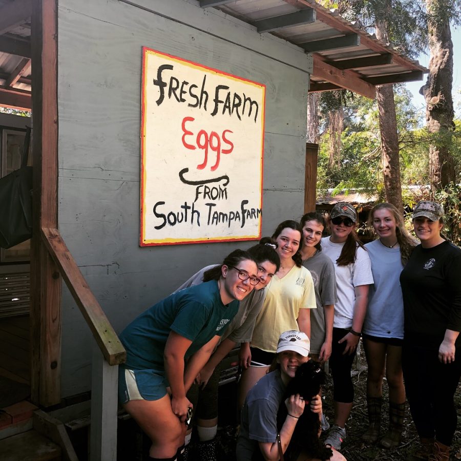 The girls on the mission trip to Appalachia volunteered at South Tampa Farm for an afternoon. Photo Credit: Emily Pantelis (used with permission) 