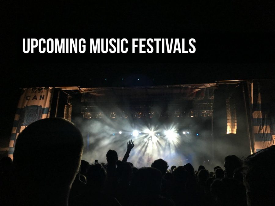 There are almost ten large music festivals around the country in the next year. (Photo Credit: Gracie Wipfli/Achona Online)