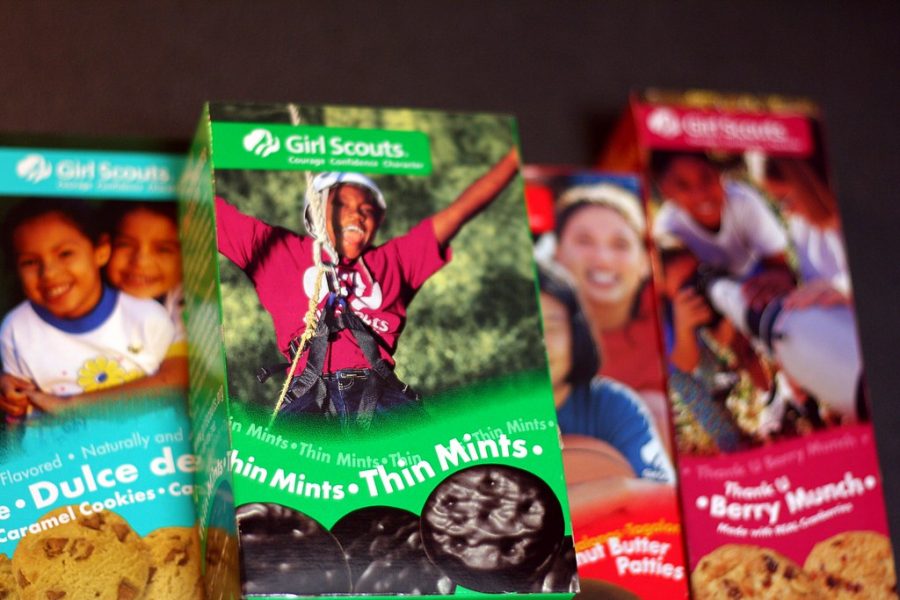 Girl Scouts across Tampa Bay have lost nearly $650 due to counterfeit bills