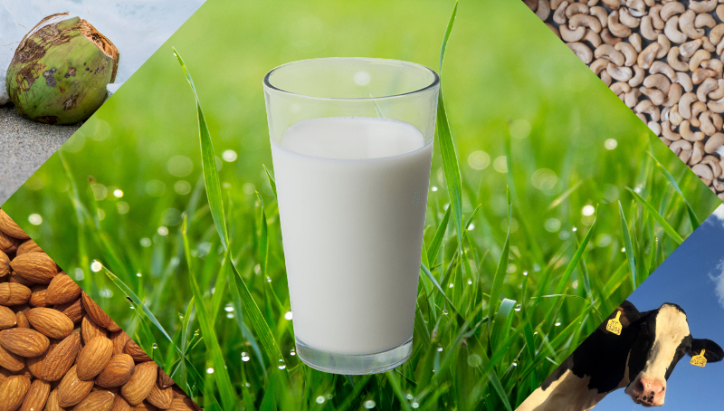 Over the last 5 years, milk alternative sales have risen 61%.