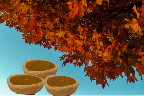Thanksgiving is on November 26 this year, and pumpkin pies are a great dessert to make to celebrate early.