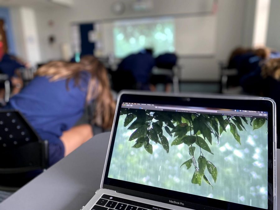 In addition to the Student Wellness Committee, many teachers try to encourage mental health in their classes and advisories.