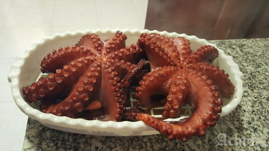 Senior Staff Writer Olivia Martinez’s family eats a lot of octopus, though she does not like the texture. 