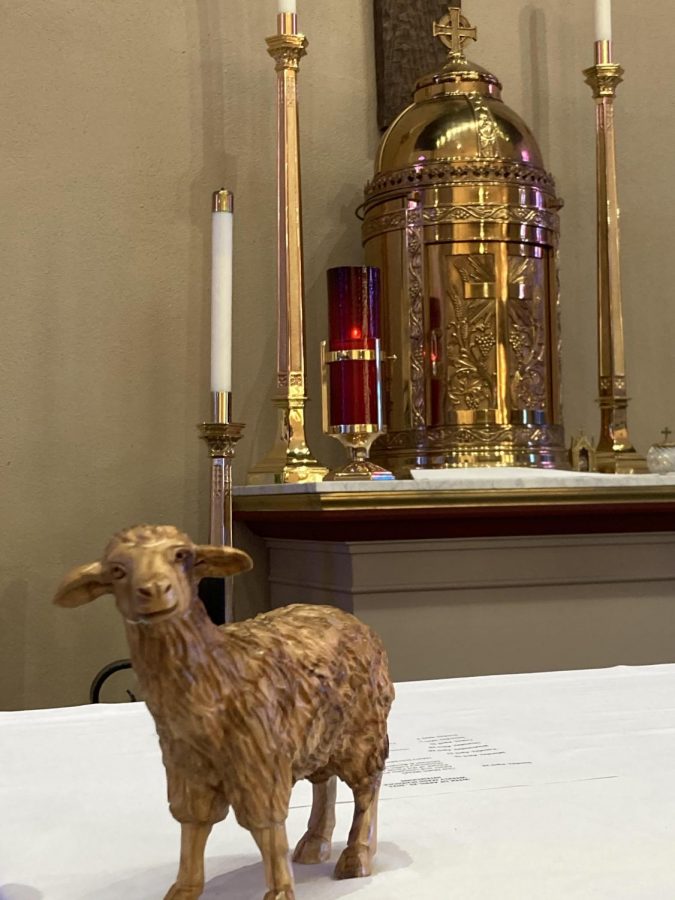 This Good Shepherd Sunday, Fr. Anthony preached about rejection and how to deal with it, mainly by following the Good Shepherd.