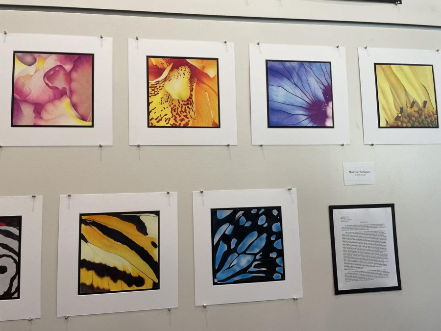 Prior to the gallery viewing, Advanced Placement art students gave presentations detailing their theme for their portfolios, including Madeline Rodriguez (21) whose art is featured above.