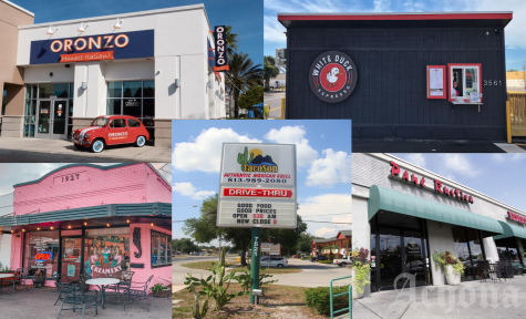 These restaurants are located all around Tampa Bay ad are perfect to try if you are looking for new options
