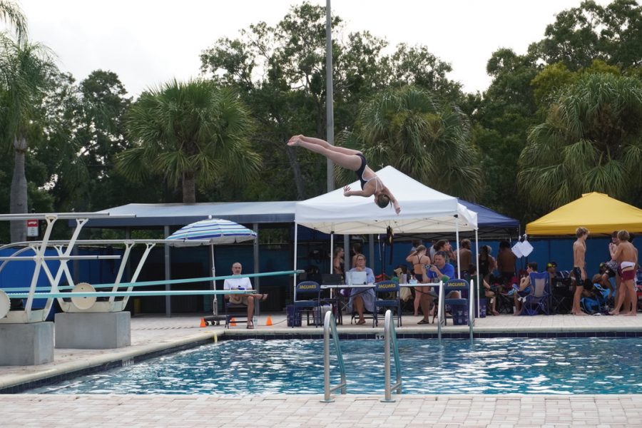 There are six types of dives and four positions a diver may choose from when competing. Kinsley Link (23) competes a twisting dive on the 1-meter springboard.  