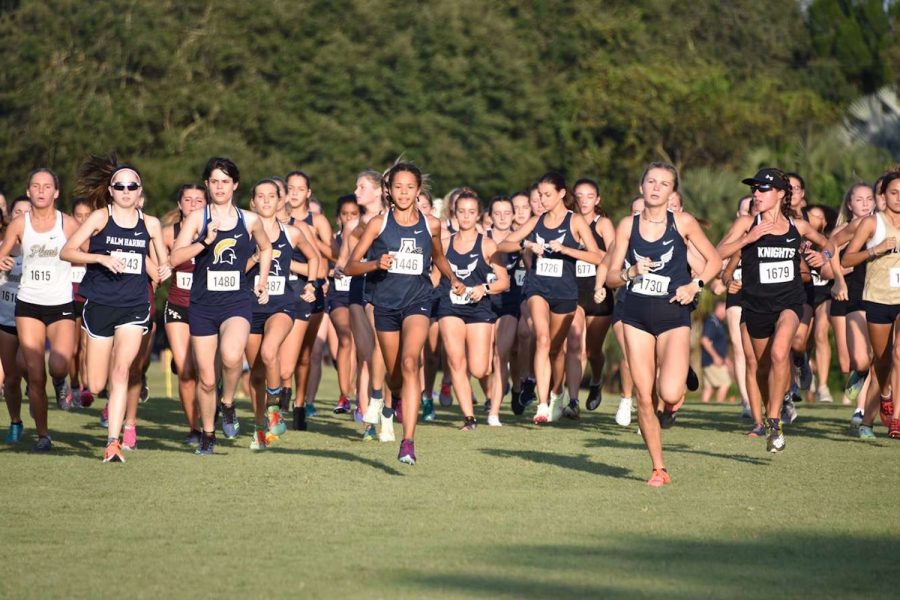 The Cross Country team competes at the second annual Private School Championship.