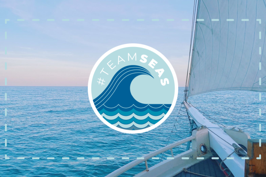 Creator-launched environment project, #TeamSeas, is working to remove 30 million pounds of trash from the ocean. 