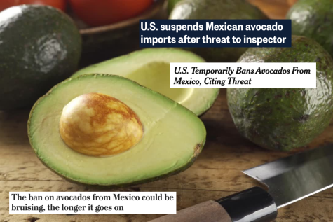 Avocados make headlines after the U.S. bans the fruit in Mexico from entering the country. 