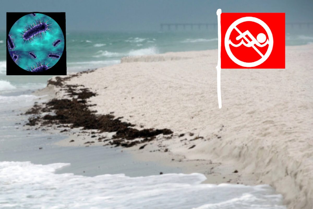 Floridas water are infested with flesh eating bacteria that can be very harmful and even deadly.
