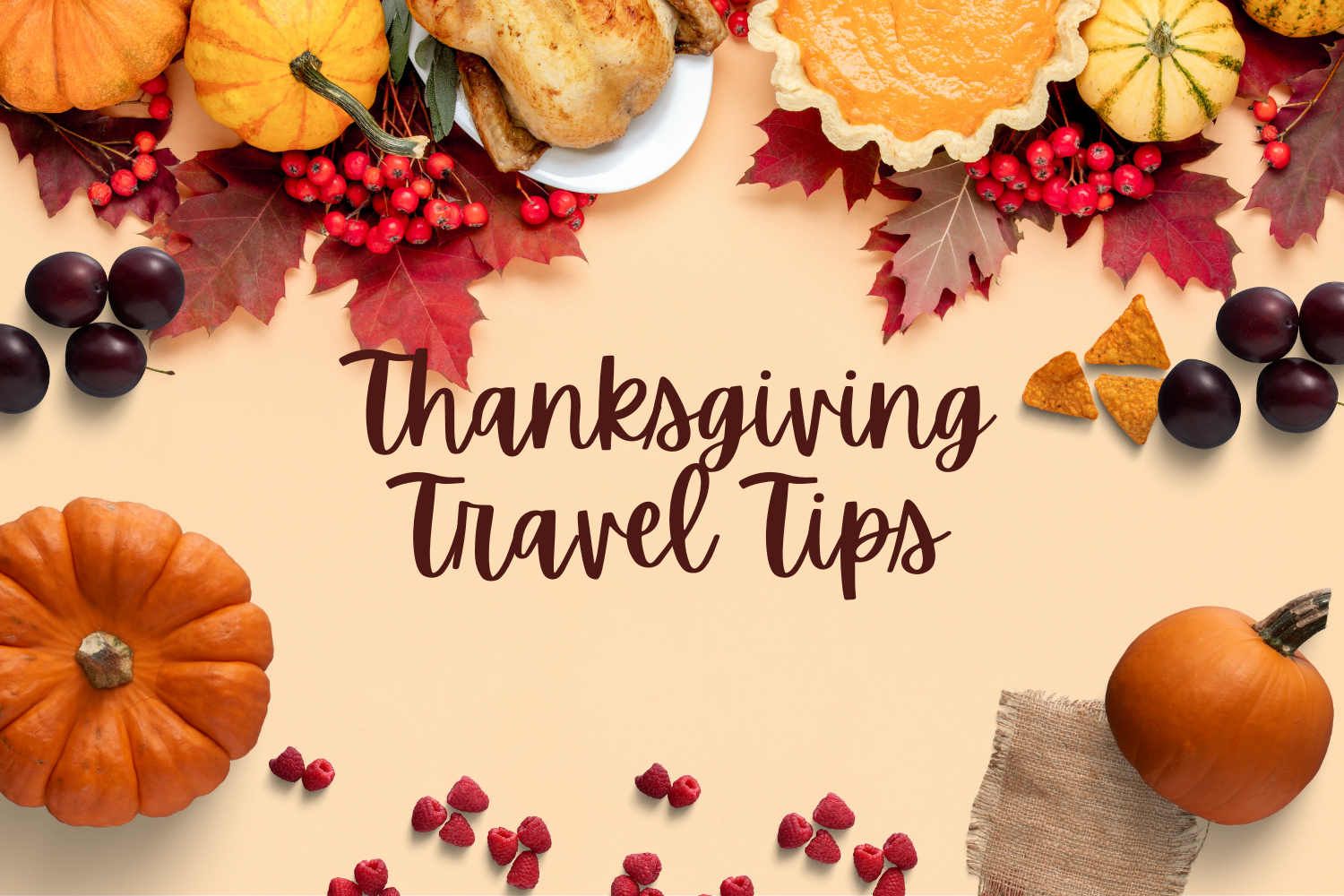 Travel Tips to help you have a fantastic Thanksgiving! 

