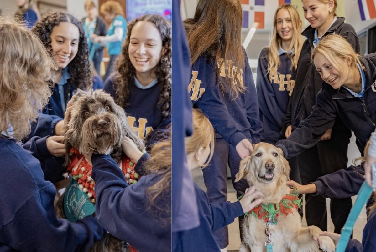 Animals in action’s service events are weekly, and members are required to attend the events at least twice per semester. 