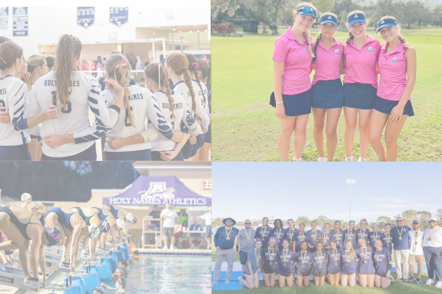 As the 2024 fall sports season wraps up, here’s a recap of the incredible achievements by AHN teams and a look ahead at what's next!