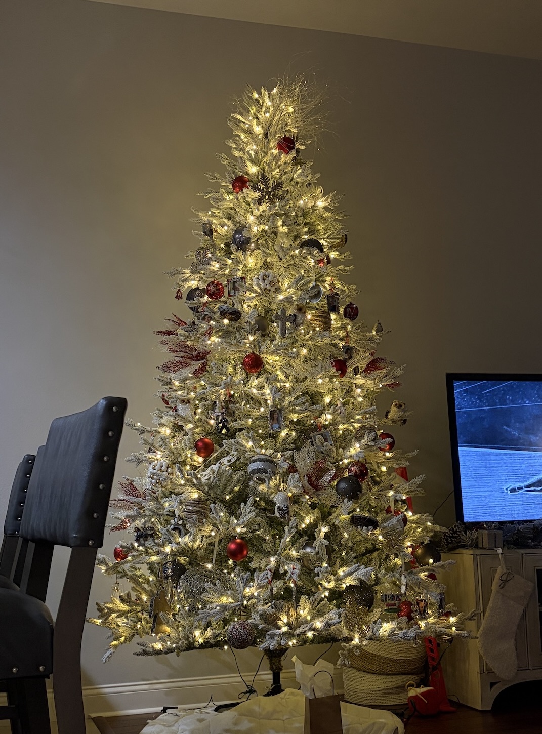 Madison's family Christmas tree 