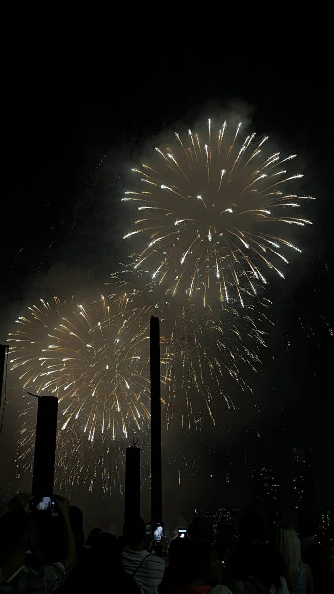 Adriana's new years fire works celebration