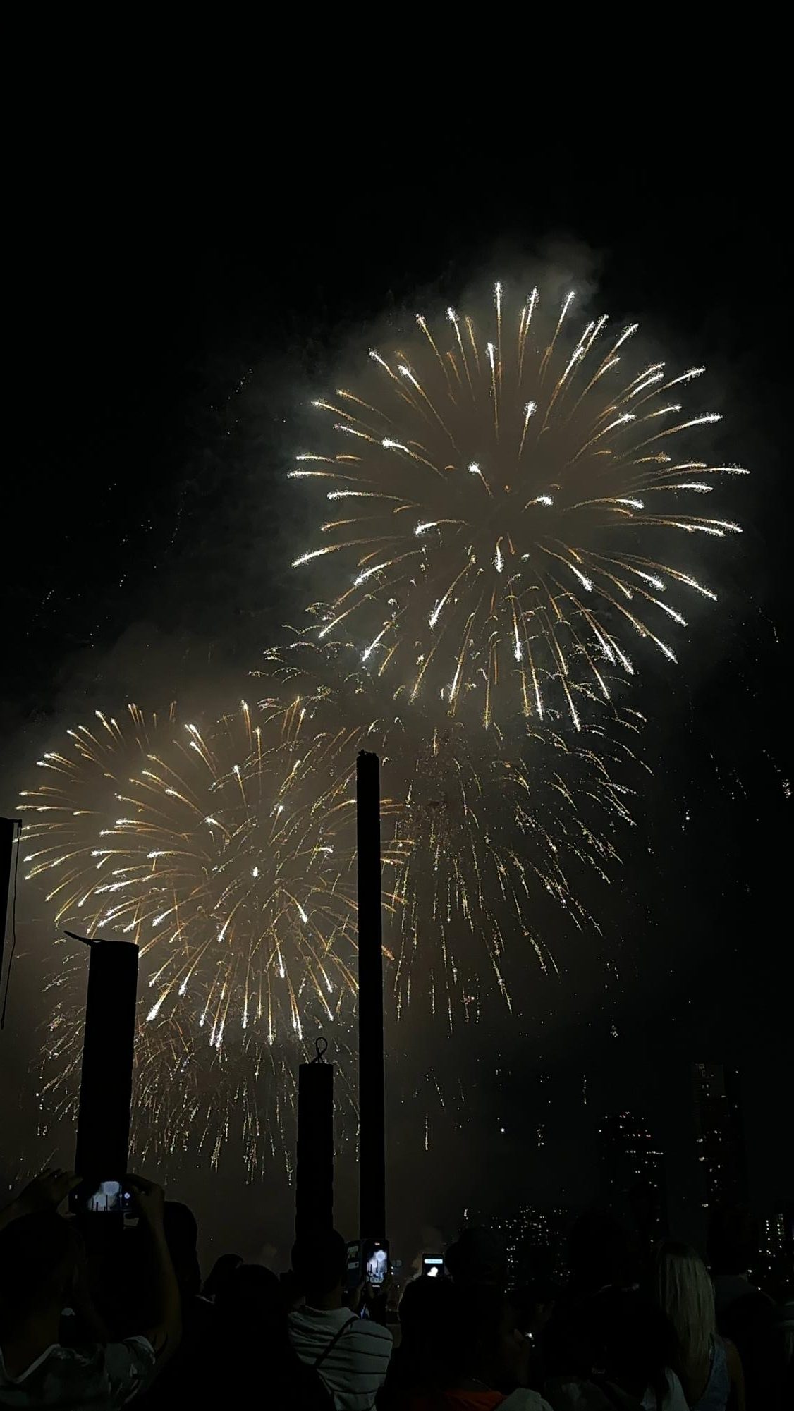 Adriana's new years fire works celebration