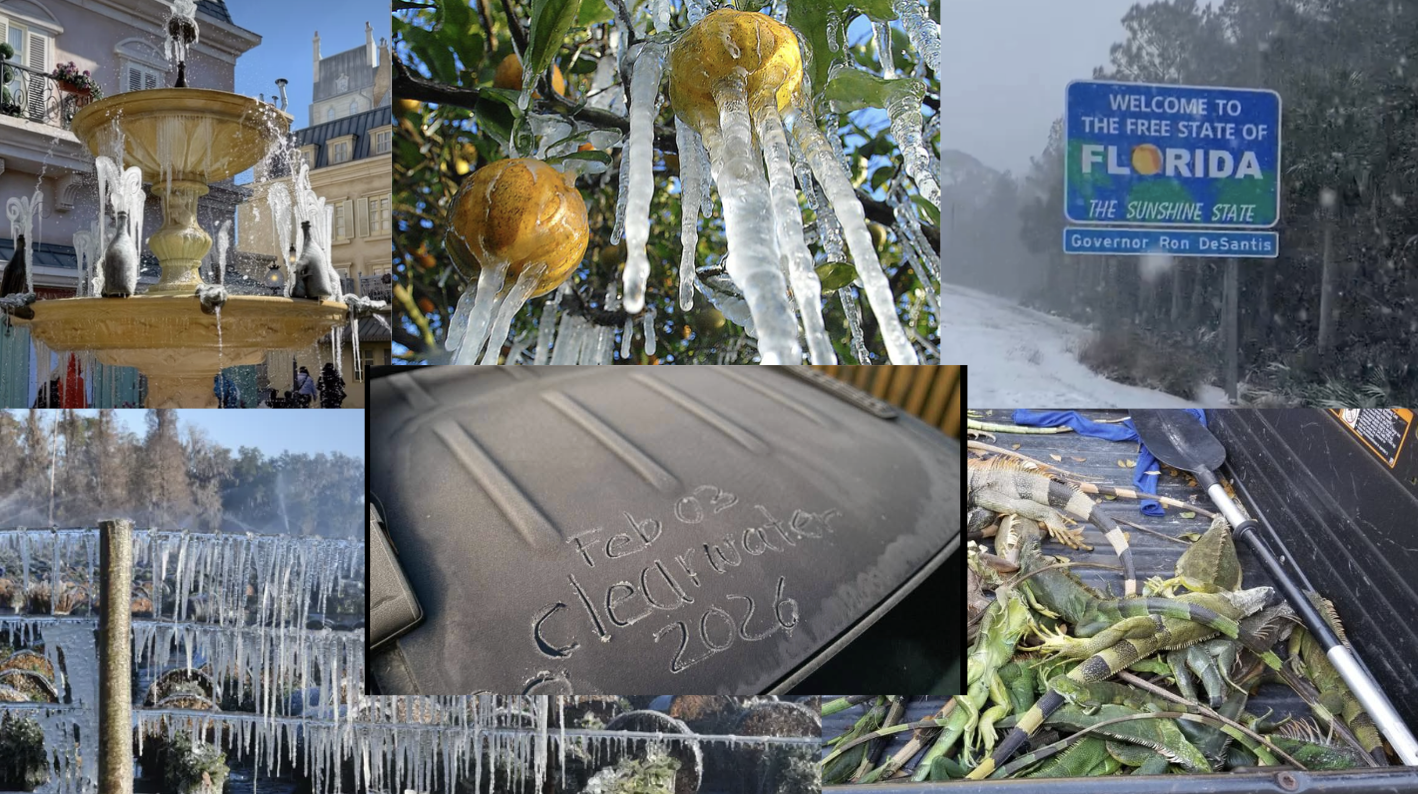 From February 1-2, 2026, a record-breaking cold front impacted Florida, with many residents experiencing snow, flurries, and frost.  